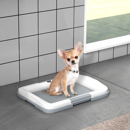 Dog toilet tray - dog, puppy