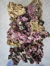 1kg Live Rock Box Real Reef Aquarium Marine Rock Fish Tank fishes coral corals