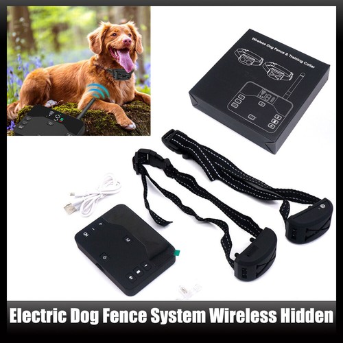 Wireless invisible dog - wireless,