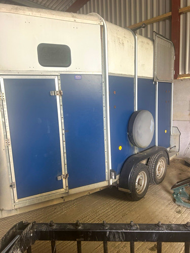 Ifor williams hb510r horse - williams,