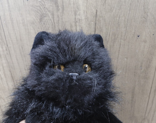 Rare classic onyx persian - rare,