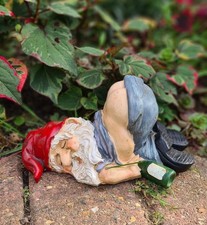 Comical Gnome Drunk and