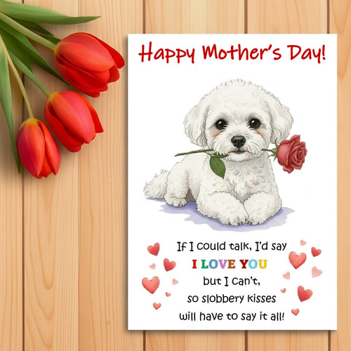 Bichon frise mother day - bichon,