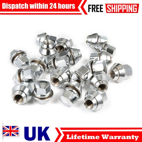 20x 19mm m12 bolt alloy - m12, x