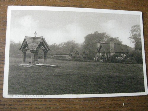 The village pump ockley - the,
