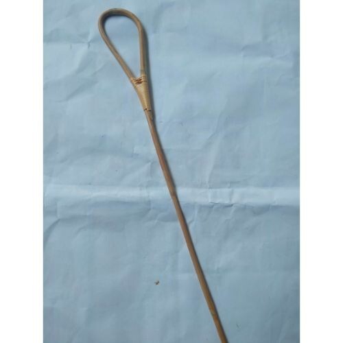 Cane stick 2pcs rattan - cane,