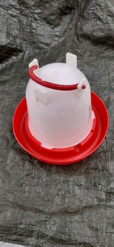 Poultry feeders and water - poultry,