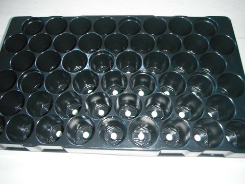 Plastic plug plant - 8, trays
