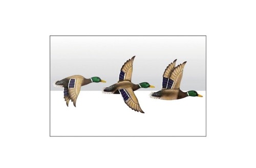 Set metal flying ducks - set, 3