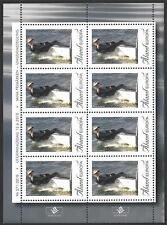 Aland Islands, 2010, SG#345, Boy Sailing Laser Radial, Europa, MNH Sheet #F8748