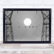 Bird Flight Sunrise Pattern Goose Swan Sunset Peace telephone poles Print