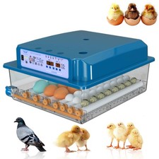 36pcs Eggs Fully Automatic