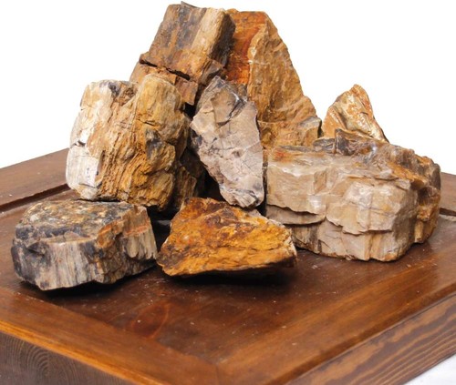 Amtra petrified rock - amtra,