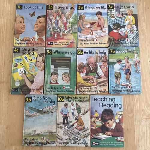 Ladybird key words - 11,