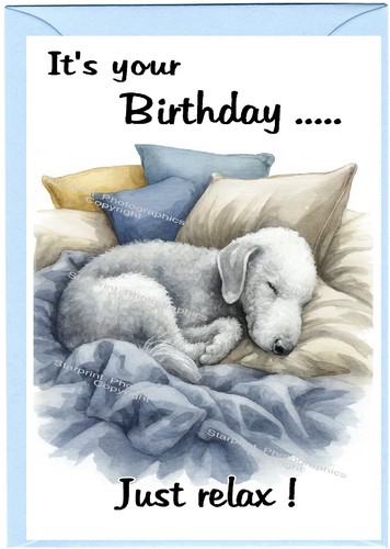 Bedlington terrier dog - dog, (4"x