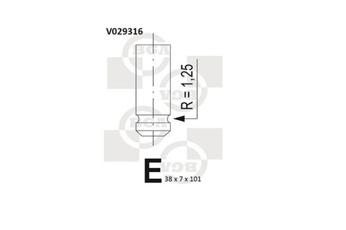 Bga v029316 intake valve - bga,