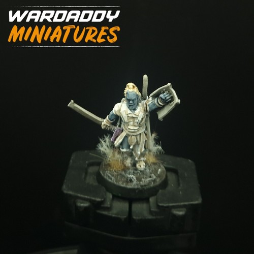 Well painted warhammer - well, lotr