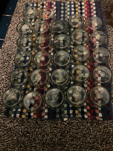 Glass ramekin pots 27 job - pots,