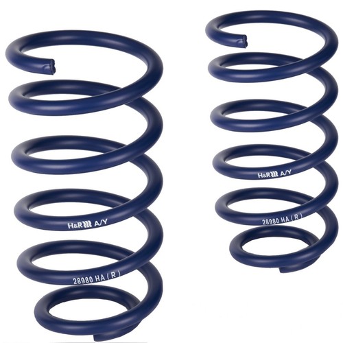 Lowering springs rear - h&r,