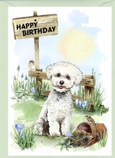 Bichon Frise Dog (4"x 6") Birthday Card - blank inside - by Starprint