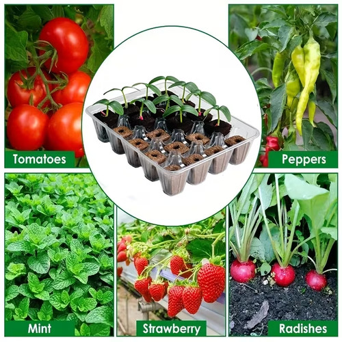 Seed starter tray with clear - tray,