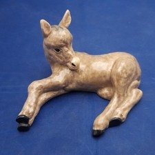 Heredities Model Horse Donkey