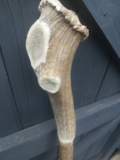 Vintage Antler Handle