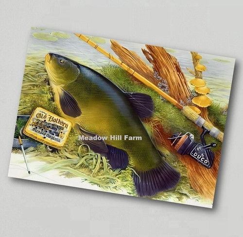 Tackle box sticker tench - tackle,