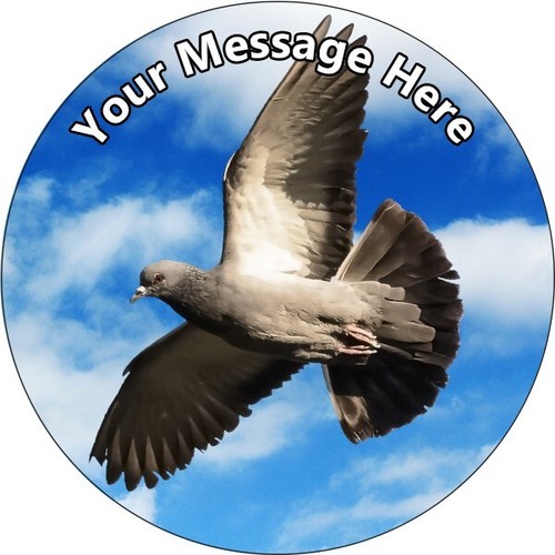 Pigeon personalised cake - pigeon,