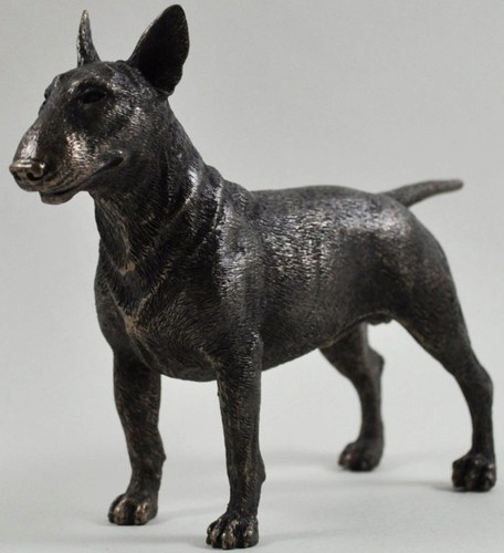English bull terrier standing - bull,