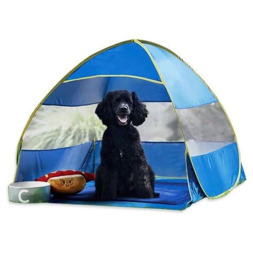 Pet pop shelter dog cat - pet,