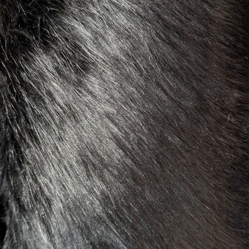 Black luxury premium faux fur - luxury,