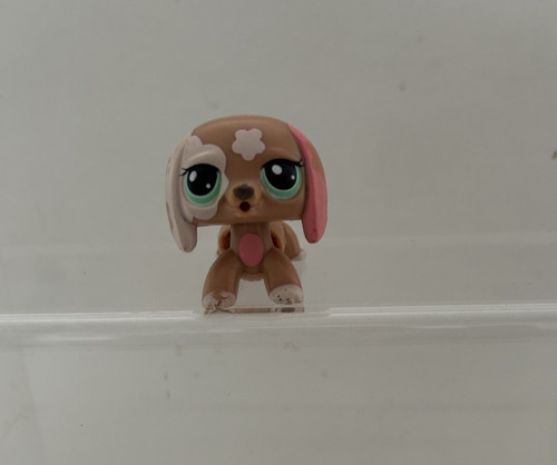 Hasbro littlest pet - hasbro,