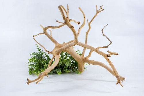 Manzanita aquarium driftwood - manzanita,