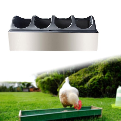 Chicken feeder trough multi - chicken,