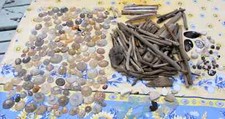 100 DRIFTWOOD PIECES, 120+ LIMPET SHELLS & OTHER BEACH FINDS FOR ARTS AND CRAFTS