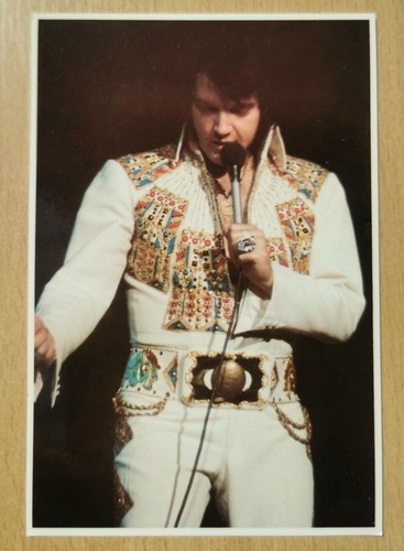 Elvis presley postcard 1977 - postcard,