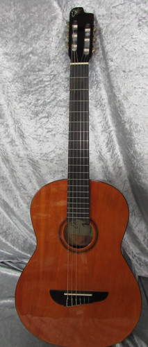 Eko primo series acoustic - 1,