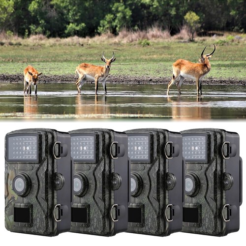 Pack 24mp 1440p - 24mp,