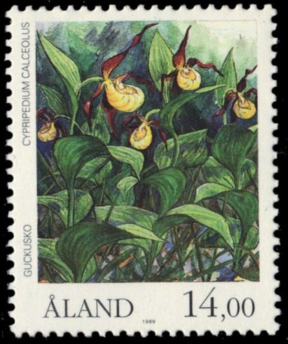 Aland islands lady - aland,