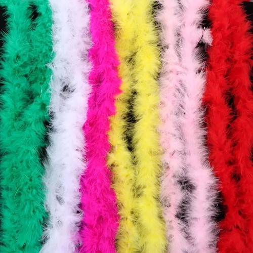 Feather boa costume - 2m,