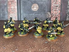 Imperial Guard Armageddon