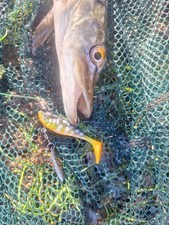 Ultimate Pike Lure Fishing