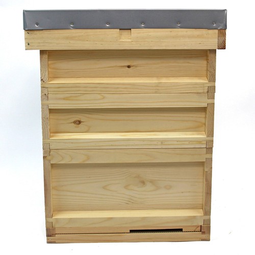National pine bee - national, hive