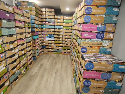 Wholesale lot 100 assorted - of,