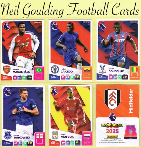 Panini adrenalyn 2024 25 - xl, 2024-25