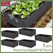 5 Pack Extra Large 100L Plant