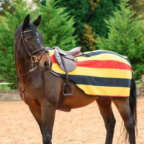 Fleece exercise sheet - exercise,