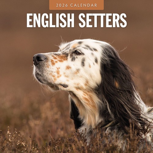 English setters 2026 square - english,