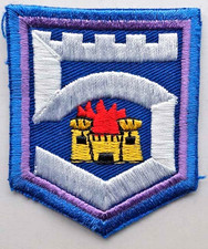 Irish Army 5th Infantry Battalion Badge Patch Defence Forces Ireland